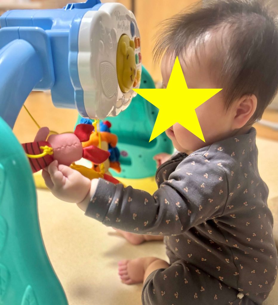 プーメリー レビュー