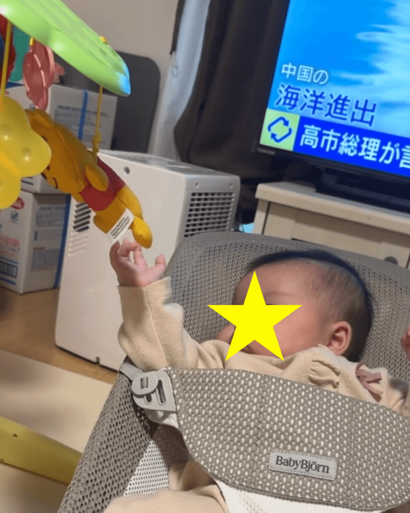 プーメリー レビュー