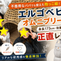 不器用なパパでも使えた抱っこ紐｜エルゴベビー オムニブリーズを身長173cm・体重80kgが正直レビュー
