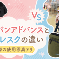【写真有】ポルバンアドバンスとピトレスクの違いは実質1つ！どっちを買うべき？